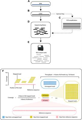 RNA-seq data science: From raw data to effective interpretation